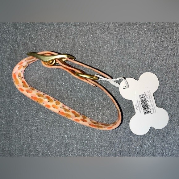 Mary Square | Hey There Pumpkin Silicone Dog Collar - Picture 3 of 3